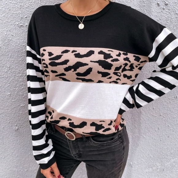 SHEIN Sweaters - Striped Color Block Leopard Sweater